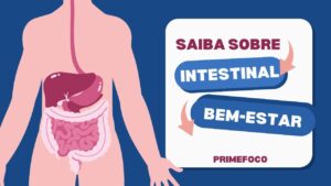 Leia mais sobre o artigo Como a Saúde Intestinal Influencia seu Bem-Estar