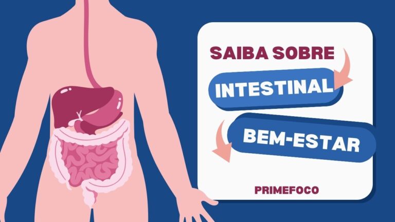 Leia mais sobre o artigo Como a Saúde Intestinal Influencia seu Bem-Estar
